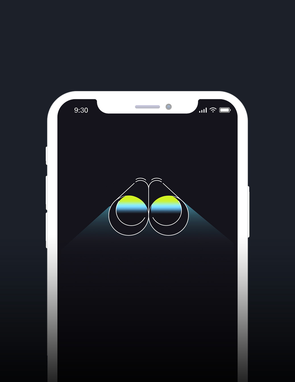 What is Shopify Audiences?