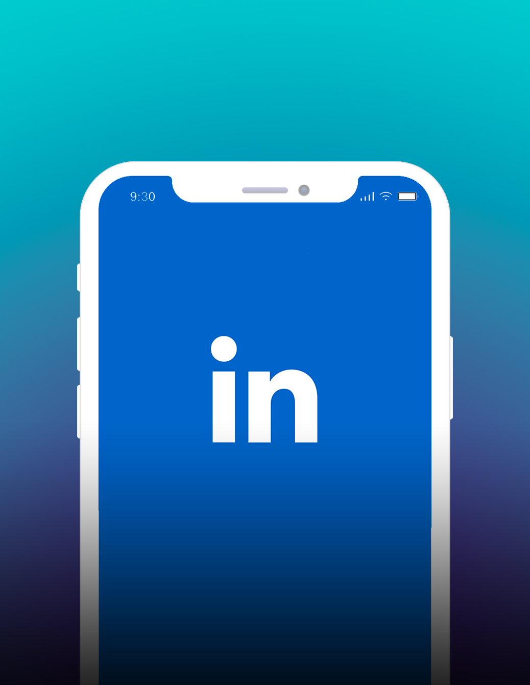 30 LinkedIn Statistics